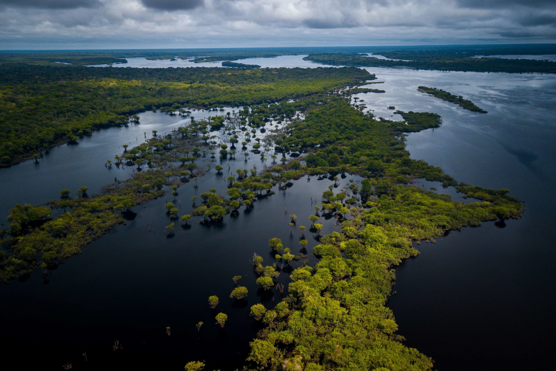 Vue aérienne de l'Amazonie brésilienne