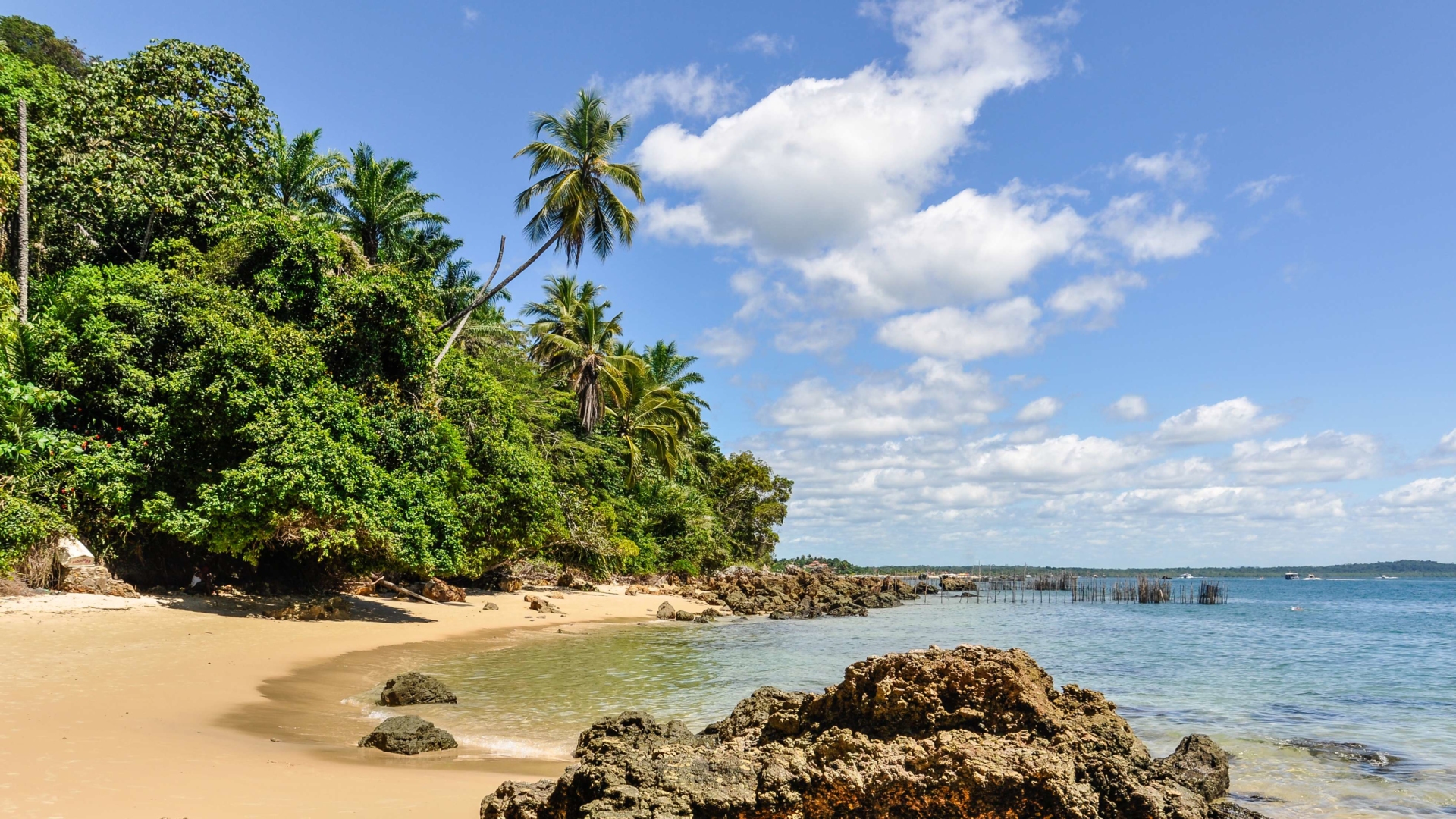 Plage du littoral bahianais au Brésil